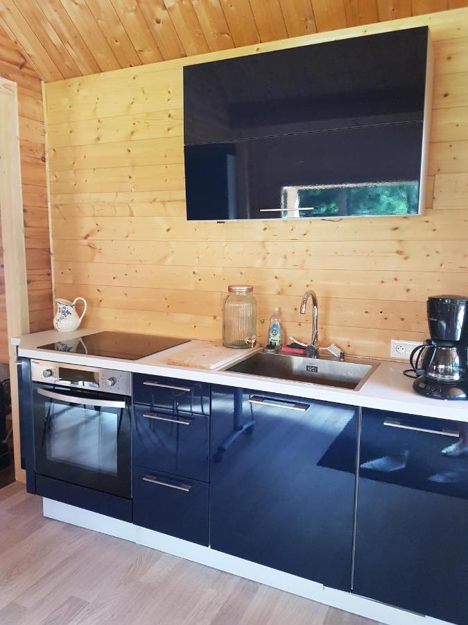 Insolite Chalet De Peche Serenite - Bien Etre Ban-sur-Meurthe-Clefcy Exterior foto