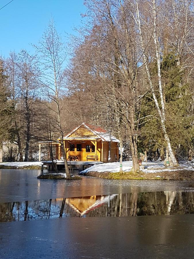 Insolite Chalet De Peche Serenite - Bien Etre Ban-sur-Meurthe-Clefcy Exterior foto